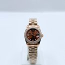 에버로즈 이미지