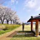 영신숲길1 이미지