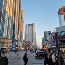 선셋호텔(Sunset Hotel) | 부산 해운대 숙소 애견 동반이 가능하고 위치 좋은 선셋호텔 Sunset Hotel