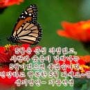 웰리스건강