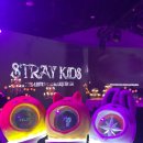 뽑아봐U | 251120 스트레이 키즈(Stray Kids) Do It 프리 리스닝 파티를 다녀오다.