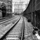 신원당감자탕 이미지