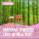 신나는 공예교실 | 어린이날 대전 숲 나들이 명소 5선 추천!