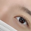 데이데이:)데이데이: 이미지