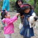 이서농장 이미지