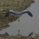 안성 조령천 이미지