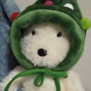 지아'조 이미지