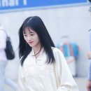 키쿠 이미지