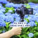 주식회사 깃털 | 캐논 파워샷 V1 컴팩트한 브이로그 카메라 제주도 여행 촬영 후기