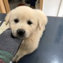 차부마트 이미지