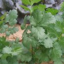 구자농장 이미지