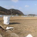 삼성4농로 이미지