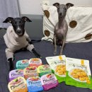 동그랑댕 이미지