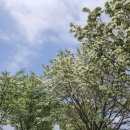 충북상회 이미지