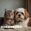 큐브지도사 자격대비 | 반려동물행동지도사 취업 및 자격증 취득후기