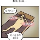판암역 4번출구 | 라운드숄더 박살내기! 내돈내산 솔직후기 <판암동 미드미필라테스>