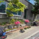 동부(아산시)건강생활지원센터 | [충청대세뉴스] 건강지도자들의 따뜻한 손길로 피어난 아산시 동부건강생활지원센터 화단