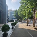 칸틴 삼성
