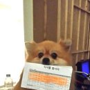 바라 이미지