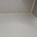 도안 휴먼시아10단지 | 대전 유성구 도안 휴먼시아 10단지 욕조 테두리 곰팡이, 실리콘 제거 후 줄눈 시공으로 해결한 현장