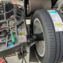 타이어D 이미지