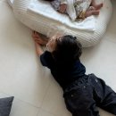 일상기록/ 육아 D+39~D+45 날씨가 참 좋은 요즘
