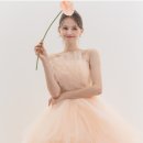 이시스하우스(ISIS HOUSE) | 모드니·포마이시스·로엘드레스 촬영드레스 대여 견적 비교: 30~60만원대 샵 총정리 (2026)