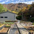 다리목농장 이미지