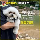 거북가든 이미지