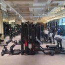 헬스인더짐 이미지