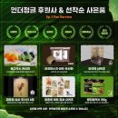 인더정글 IN THE JUNGLE