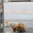 행운공방 앞 이미지