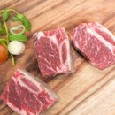 다온미트 이미지