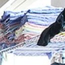 보라매복싱클럽 이미지