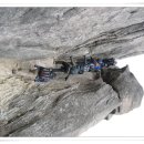 초시산장 이미지