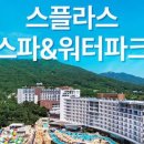 스플라스리솜 이미지