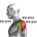 춘양삼성의원 이미지