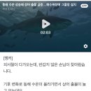 동해 수온 상승에 상어 출몰 급증...해수욕장에 그물망 설치 이미지