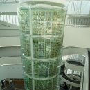 베니키아아리울관광호텔 이미지