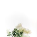 청년디자인 이미지