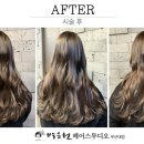 스튜디오 토푸