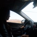 왈가왈부애견 이미지