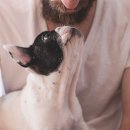 사바나동물병원 이미지