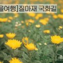 국화길 이미지