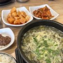 (후추여행기록) 8개월 말티푸 우당탕탕 견생 첫 제주: 1일차