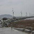 [제부마을]갯벌체험(바지락캐기)