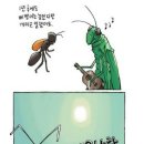 개미와 베짱이 이미지