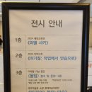샤키 | 대구 미술관 와엘 샤키 전시 후기