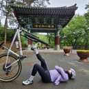 마곡사로(호계초등학교~마곡사) 이미지