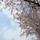 삼익아파트 앞 이미지